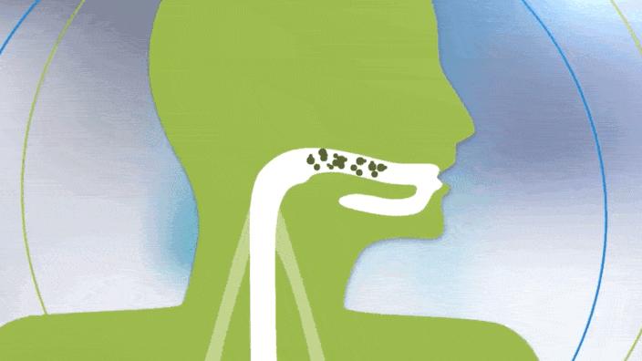 吃什么食物可以缓解口臭,糖尿病口臭吃什么食物能治口臭