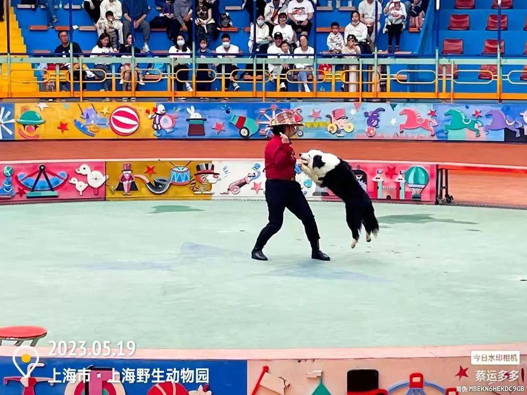 中国最大的野生动物园是哪个城市,中国最大野生动物园