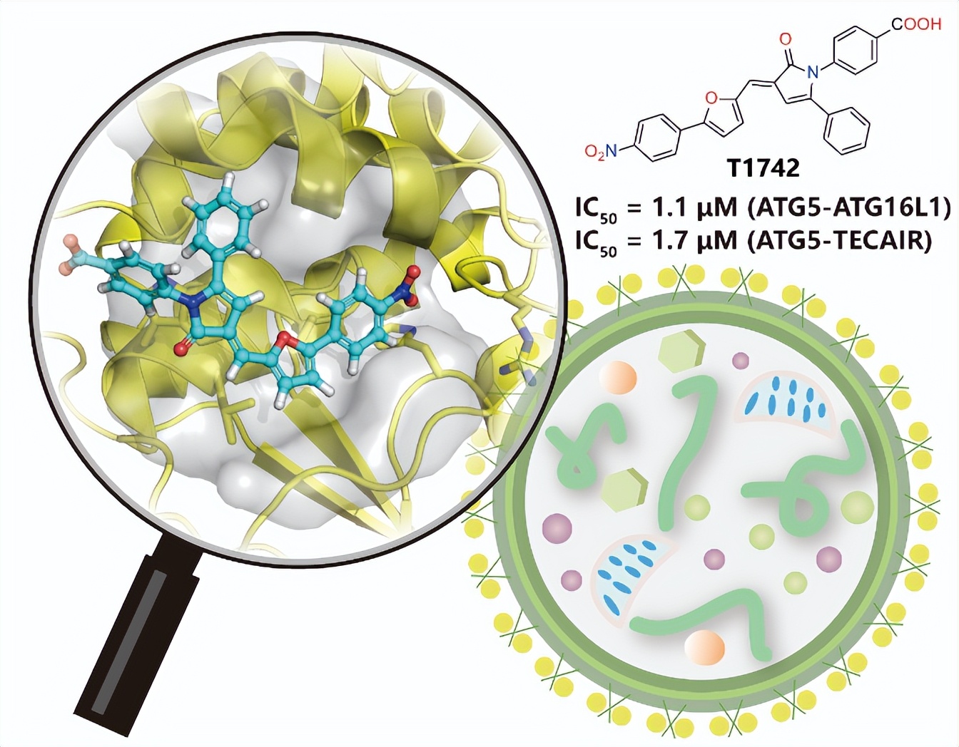 复旦大学4月科研成果,复旦春季学期