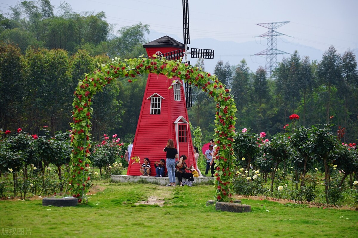 广西旅游攻略天洞,广西旅游攻略大明山