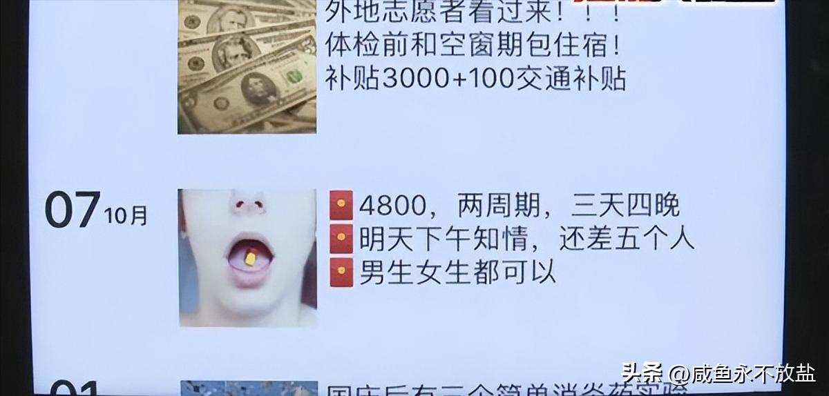 试药员冷门暴利行业,职业试药人7天赚10万