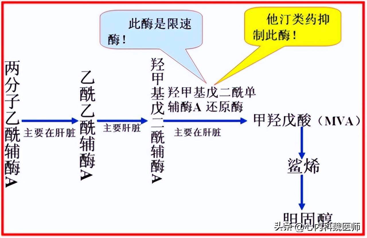 阿托伐他汀钙片会产生依赖性吗,阿司匹林阿托伐他汀钙终身服药吗