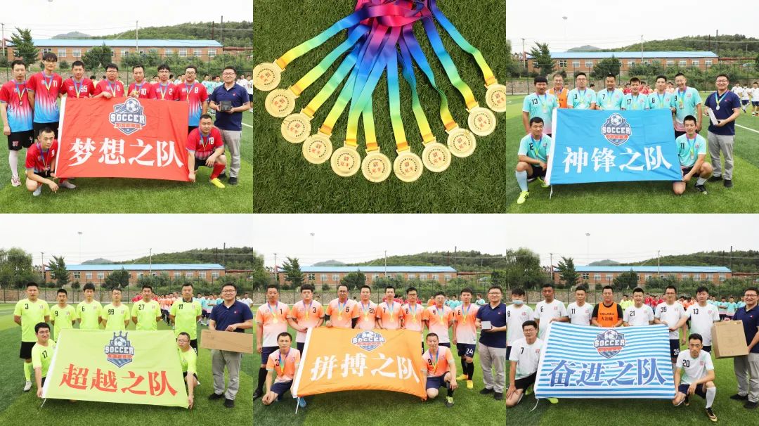 绿茵赛场精彩视频,足球联赛激情开赛