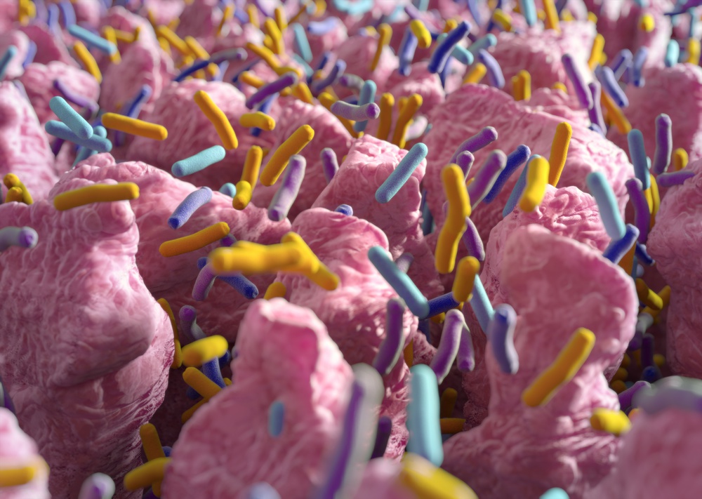 减脂减重,改善代谢?小小“瘦子菌”不可小觑