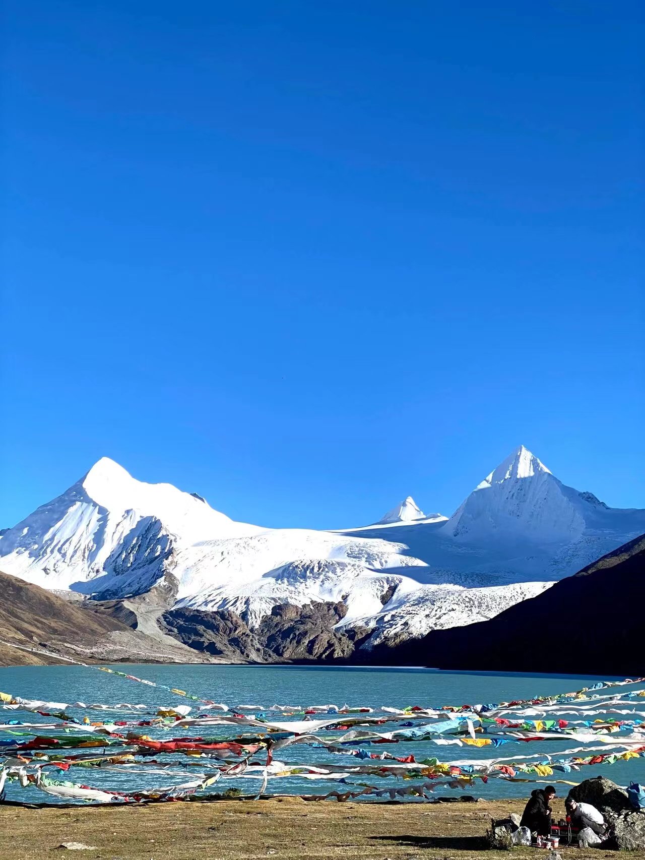 拉萨当地的旅行社哪家好,西藏布达拉宫旅游旅行社联系方式