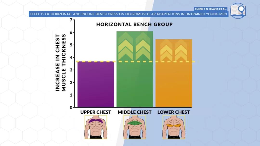 想要胸肌更有轮廓和立体感,想要胸肌更饱满