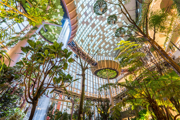 新景区门票免费送,景区打卡送门票