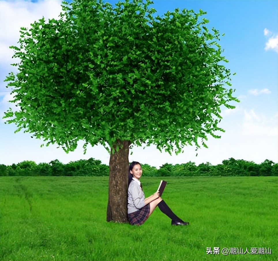 潮汕人的脚骨有多脆弱,潮汕人骨子里存在的观念