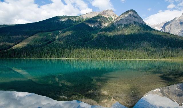 梦见老公有私生女是什么意思,发现老公有私生女怎么办