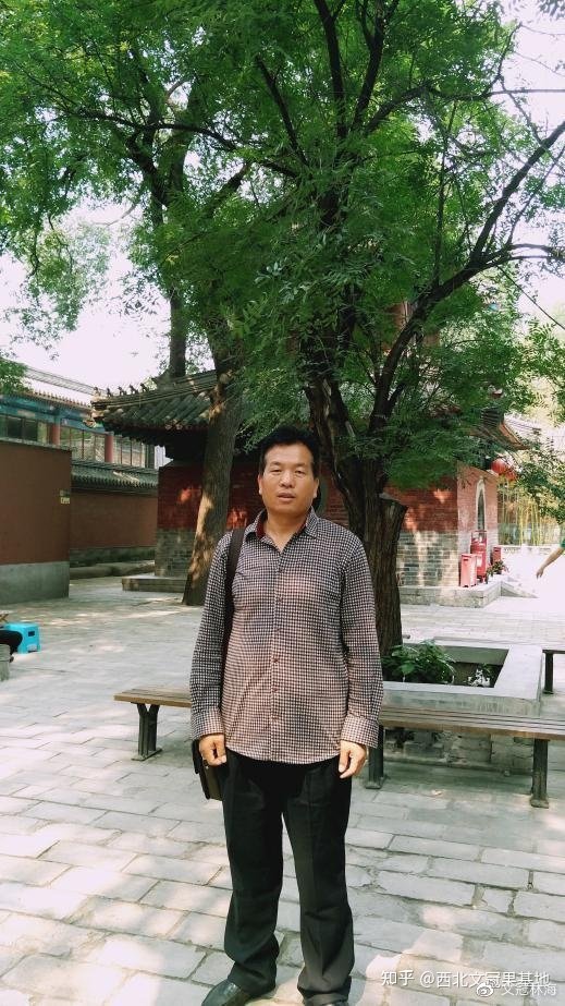 庭院里能种文冠果树吗,文冠果树苗木基地