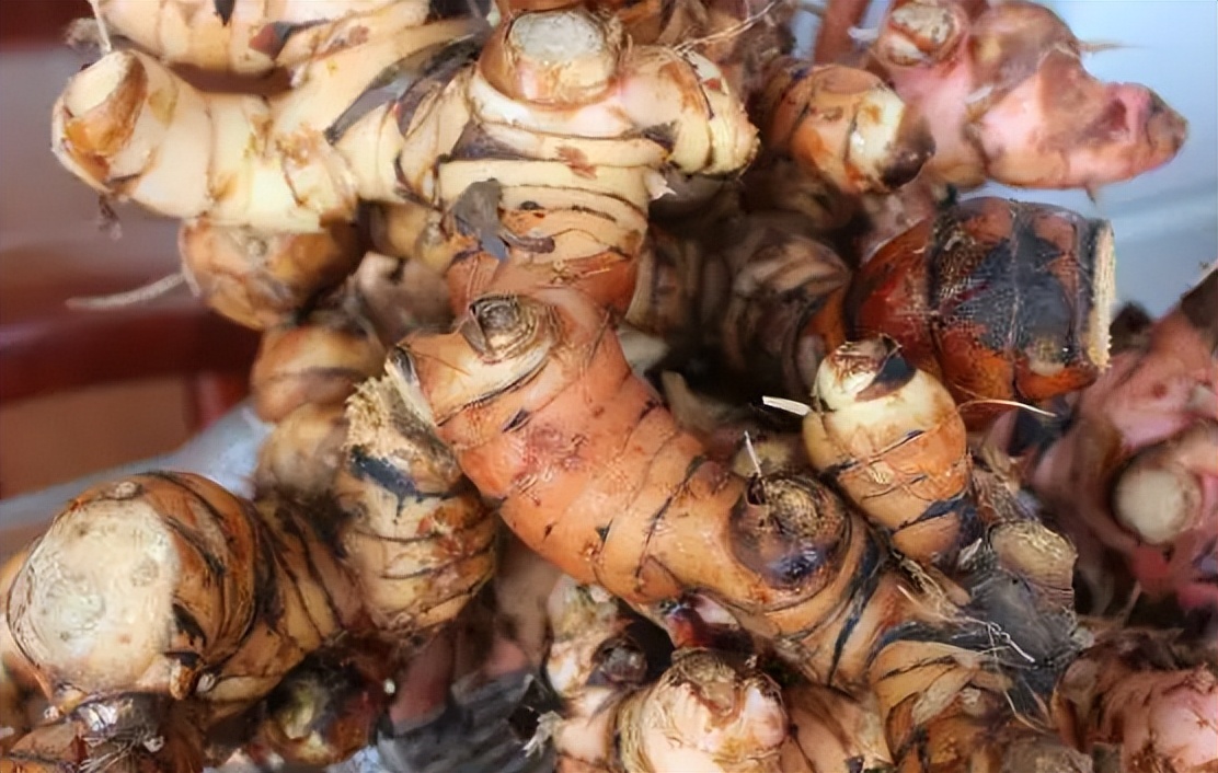 南姜的味道和普通姜的区别,南姜和生姜味道区别