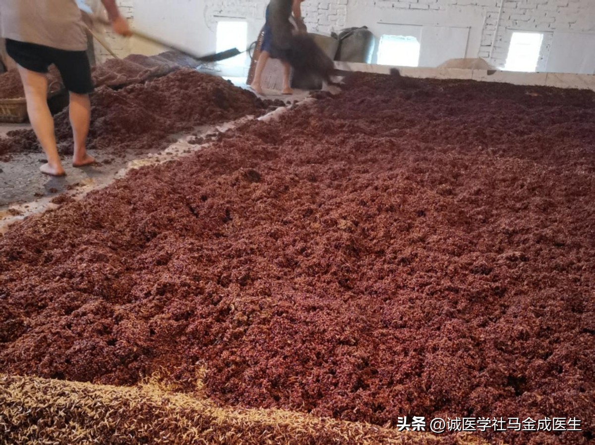 每天喝一点酒助眠对身体好吗,喝酒能助眠还是加重失眠