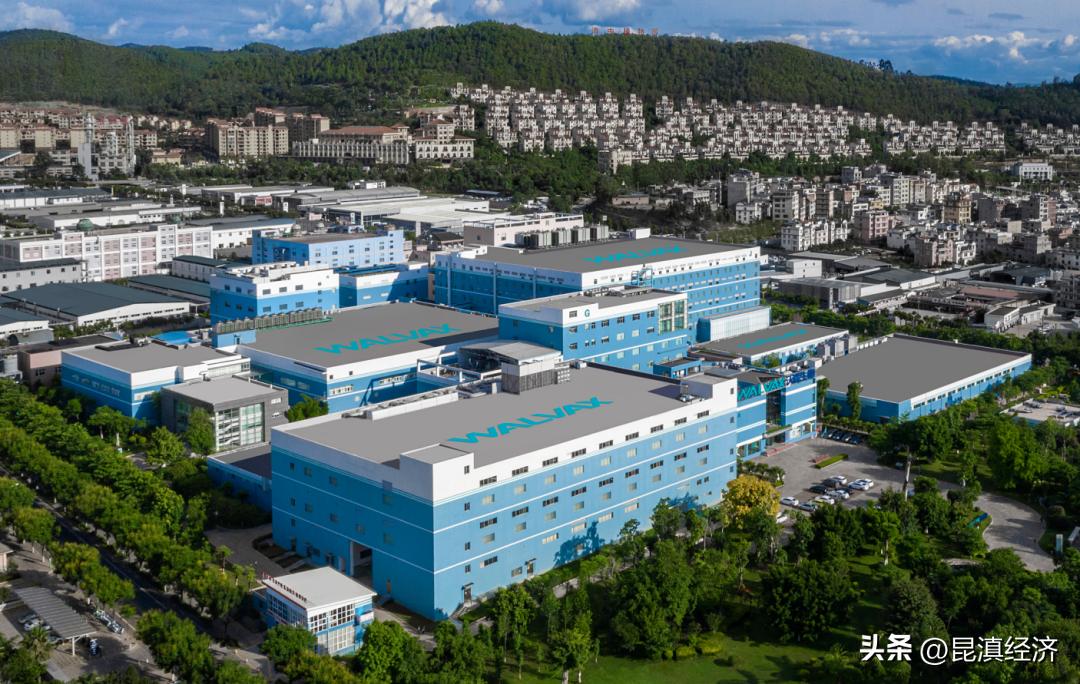 云南红塔市值,云南建投市值