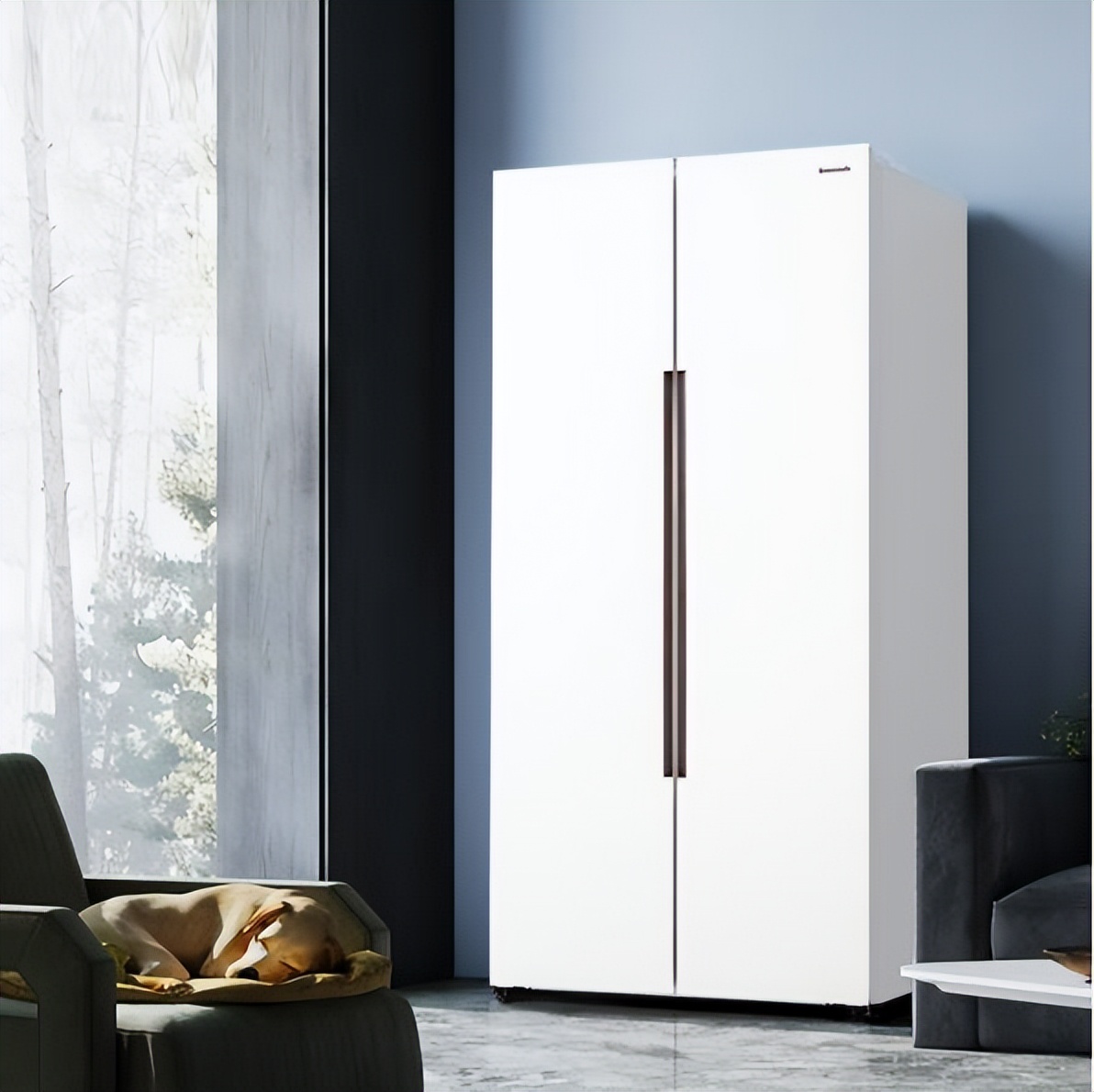 松下冰箱怎么样质量好不好啊,松下冰箱te45atx与e450px区别