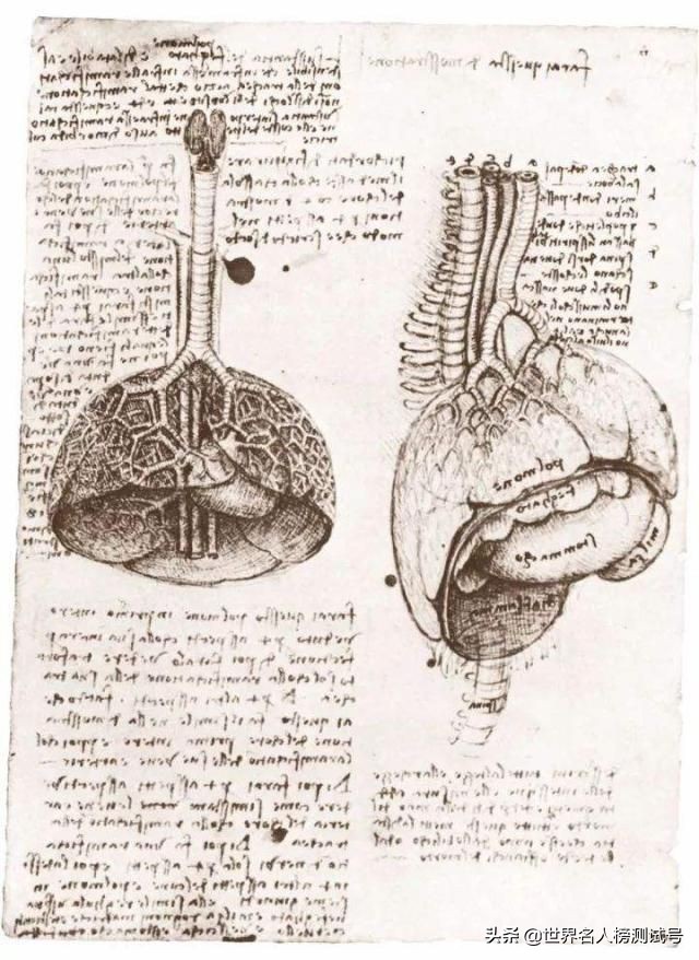 达芬奇不仅是画家还是发明家,达芬奇一个画家为什么这么聪明