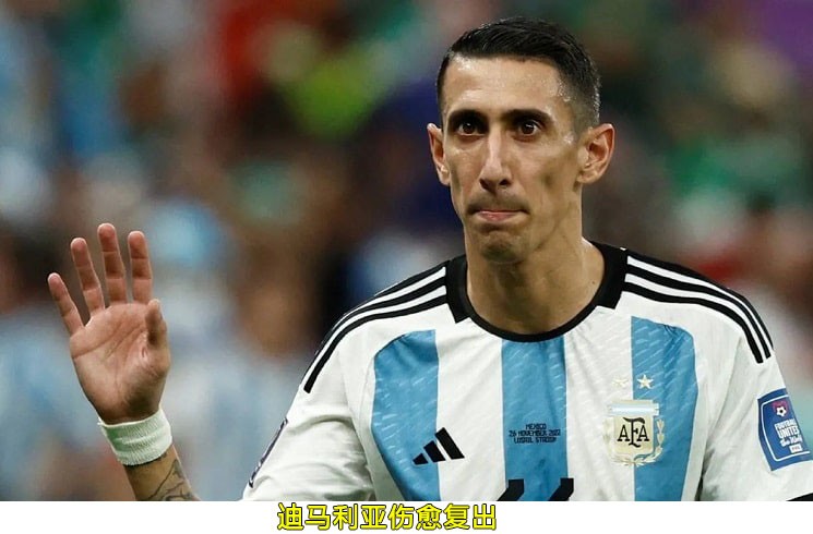 世界杯荷兰塞内加尔预测,荷兰vs阿根廷荷兰能进球吗