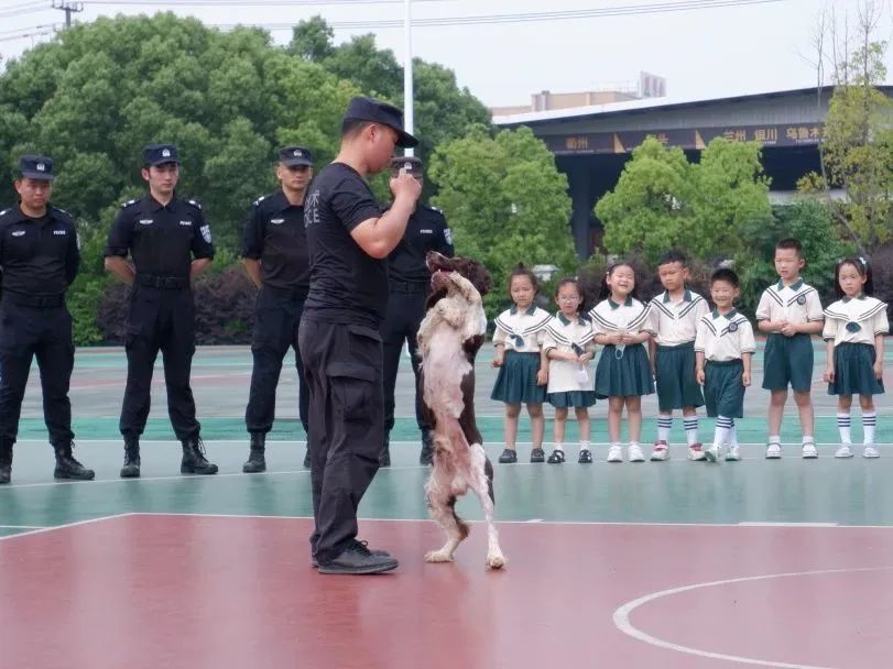 小萌娃应邀进警营警彩体验零距离,警彩少年平安校园