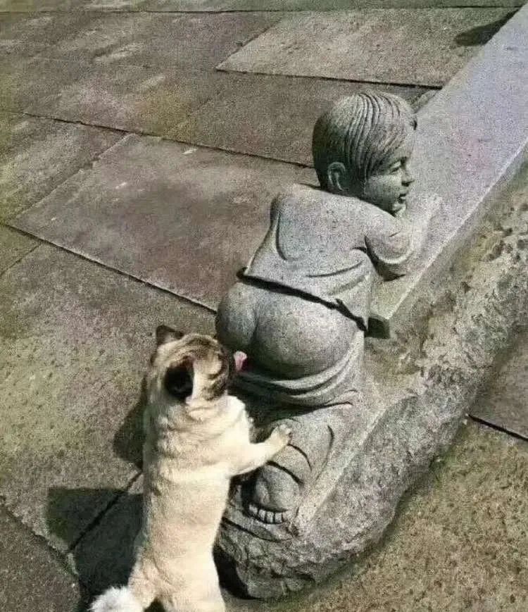 丁香园舔日太猛了，还要“舔两口”