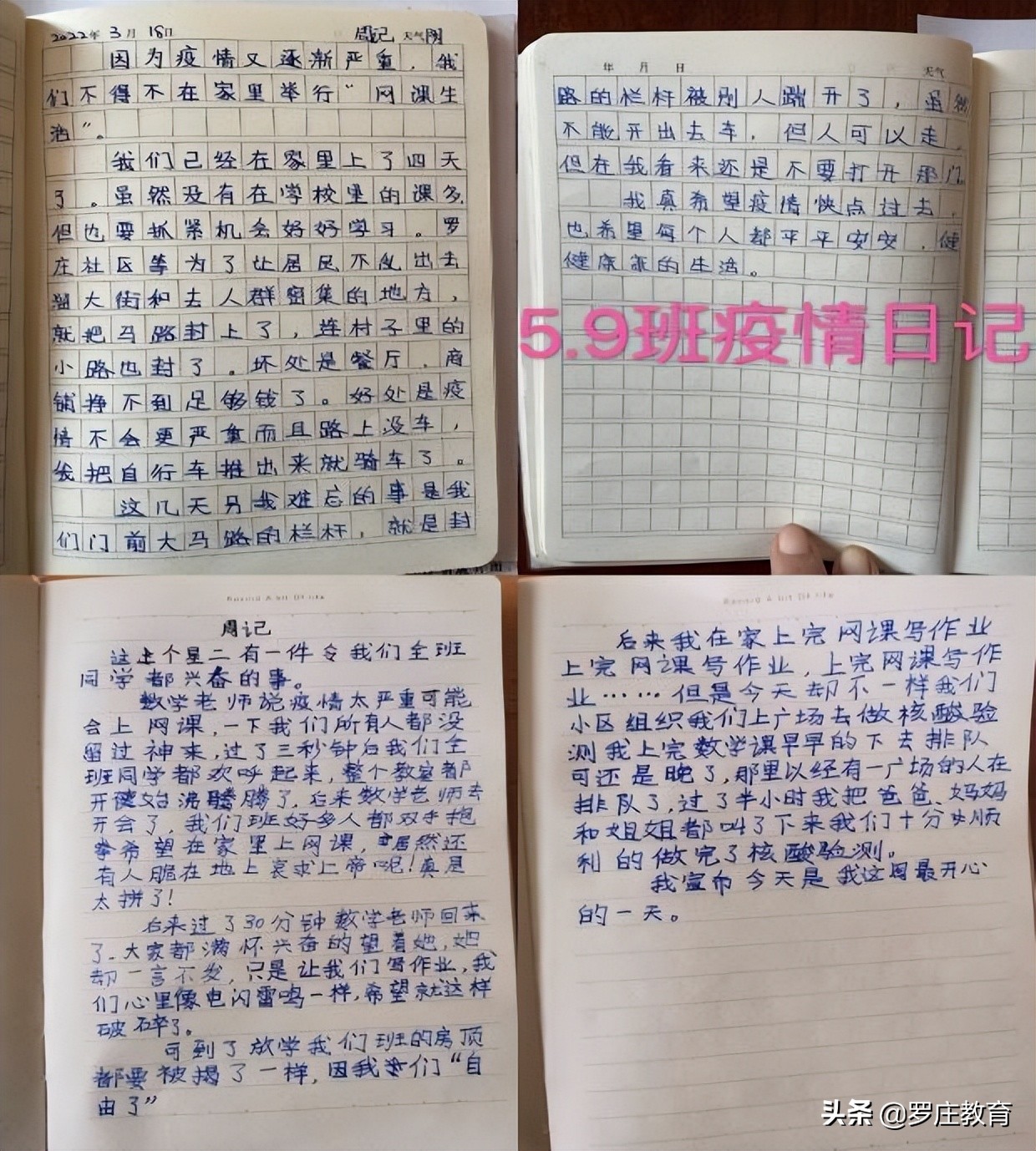 一起向未来小学版完整教学视频,临沂湖南崖小学教学质量