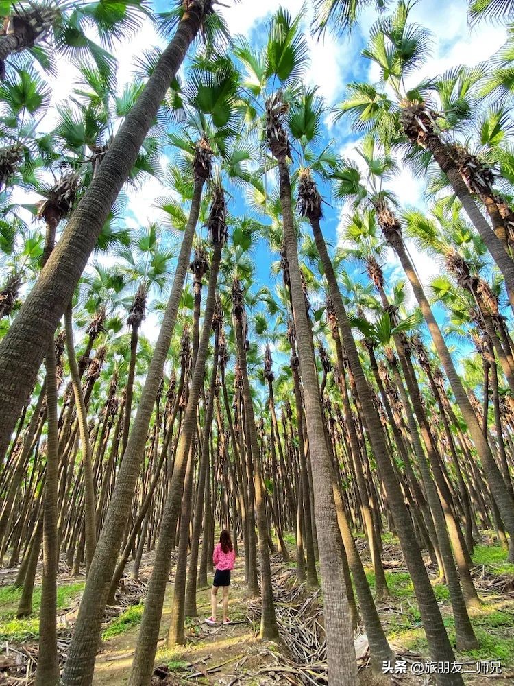 台山旅游攻略浪琴湾景区,台山浪琴湾旅游攻略大全图