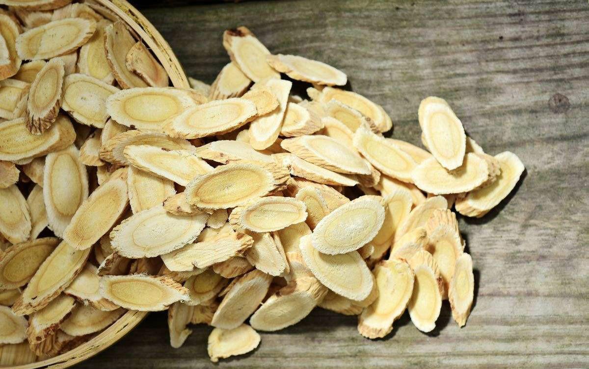 经常喝黄芪水对身体有哪些危害,黄芪水喝多了有哪些副作用