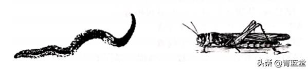 2021年山东省聊城市中考生物真题