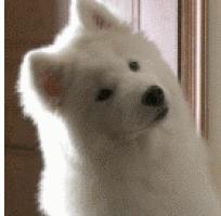 明星涉嫌传销事件,涉嫌传销8年敛财百亿被查