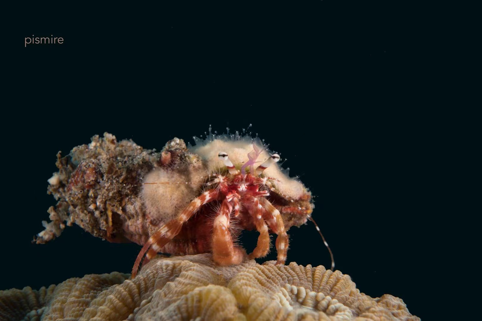 菲律宾最好的度假地点,菲律宾最凉快的地方