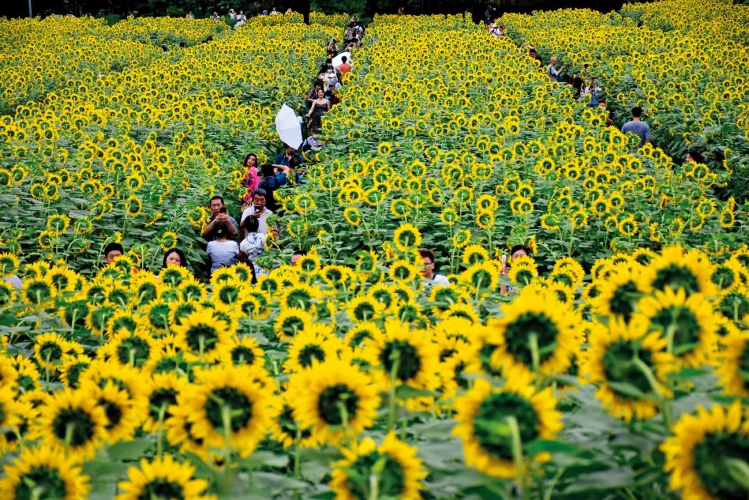 2019年北京违建拆除计划完成情况,2022年北京拆除违建