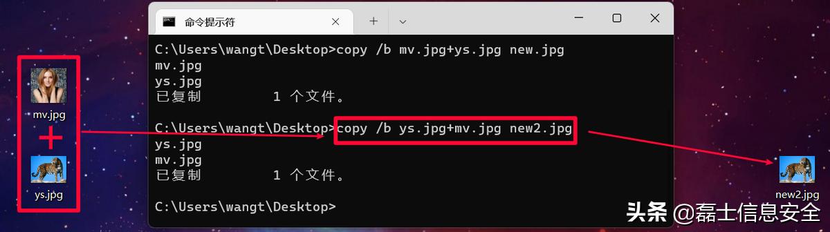 缇庡浘涓轰粈涔堢湅涓嶅埌骞垮憡瑙嗛,缇庡洟涓嬩笉浜嗗崟