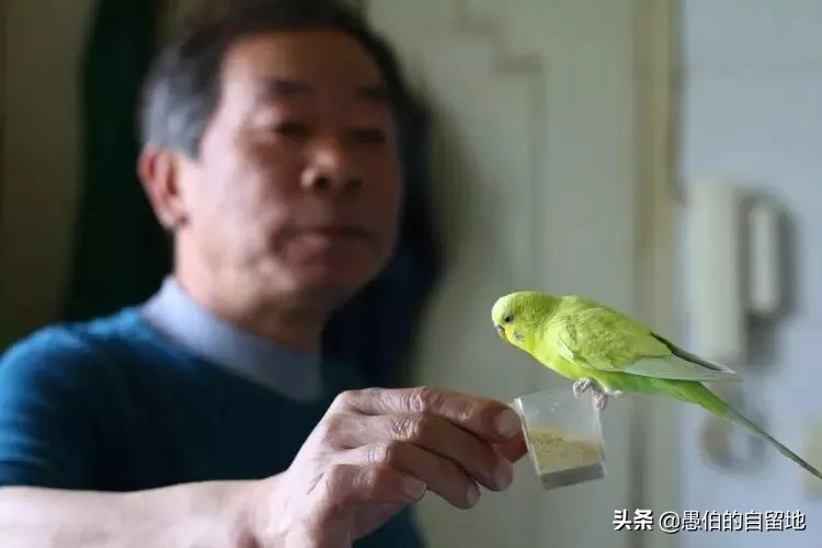 我，两次去缅甸木姐赌博，最终倾家荡产，妻离子散，晚年生不如死