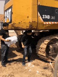 小鳄龟为啥养着养着就断尾了,以前不理解别人养宠物