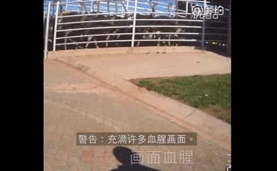 电击网瘾少年的杨永信如今怎样了,杨永信戒网瘾哪一年