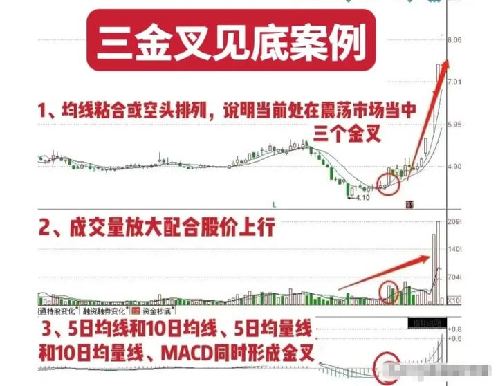 在股市散户需要注意什么,股市低迷时如何炒股