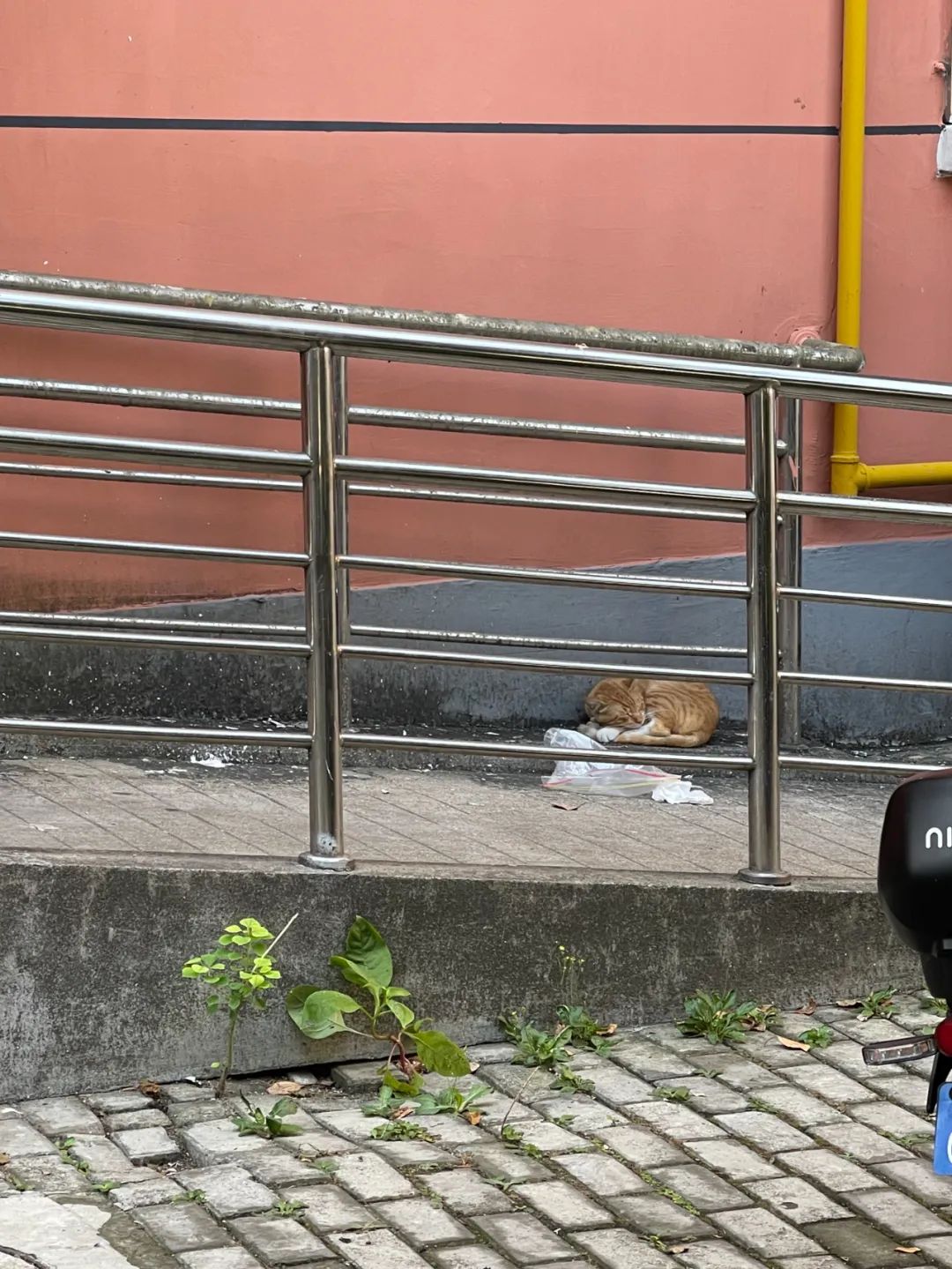 9月，谢谢你们送来的秋天