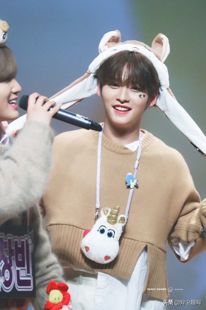 韩国明星秀智是什么脸型,秀智是韩国明星吗