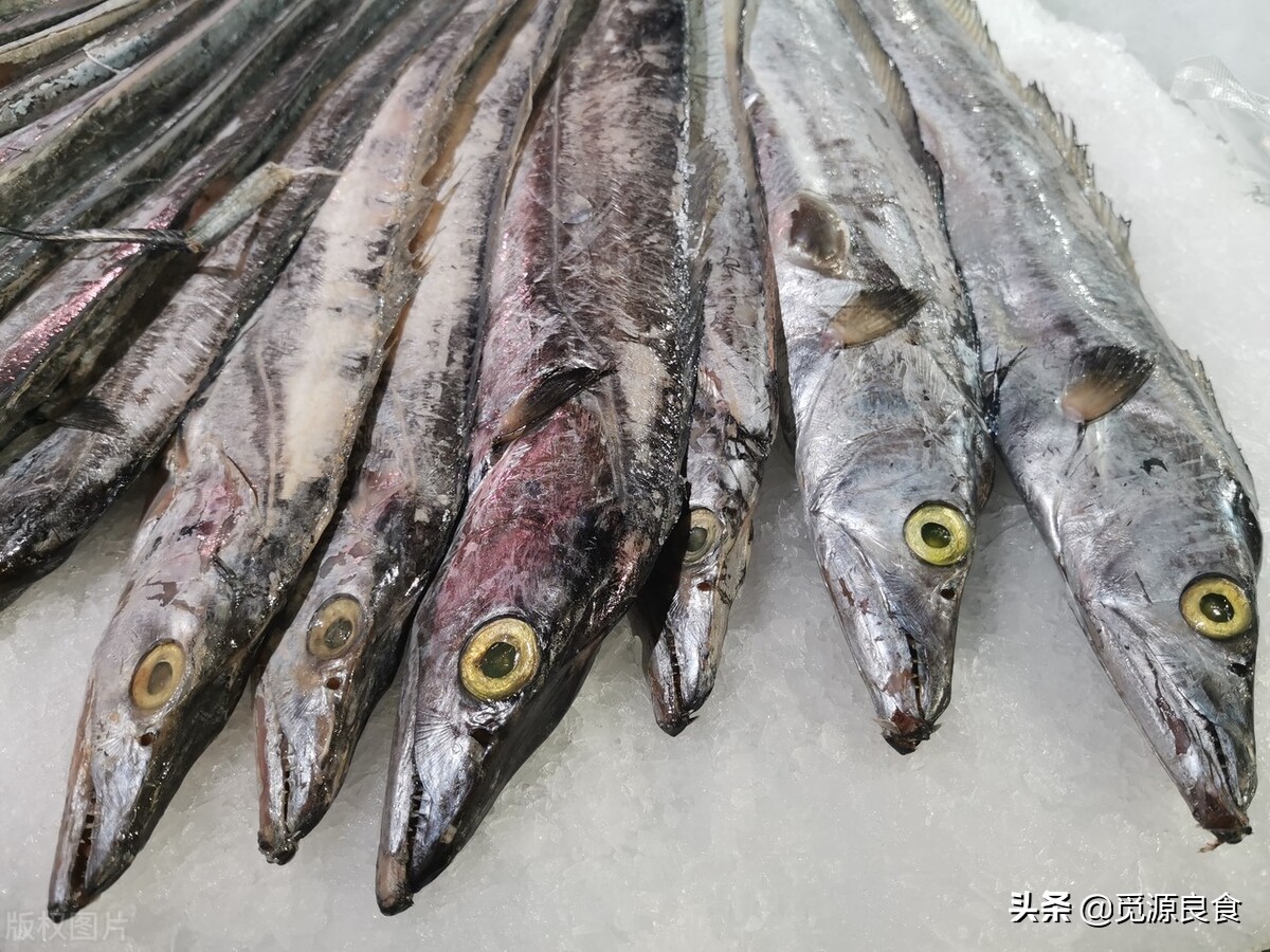 一样是鲈鱼为什么价格不一样,同样是带鱼