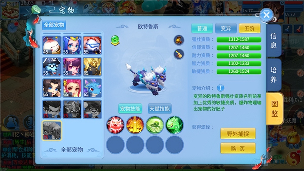 天书奇谈vip兑换码,天书奇谈gm版手游小金龙礼包