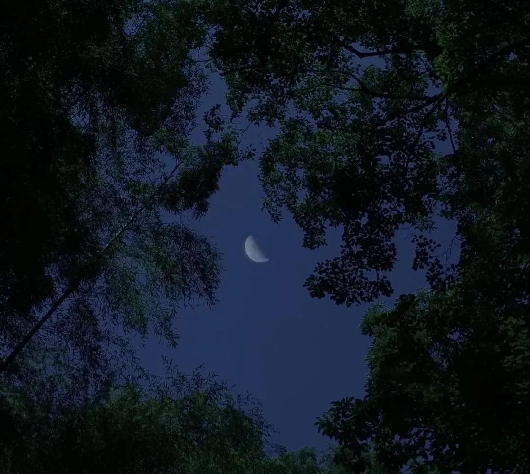 深夜高级emo文案,让你瞬间破防的emo文案