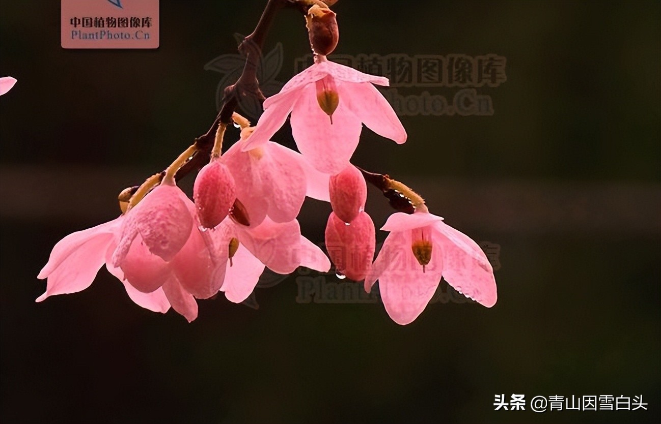 农村空闲地如何合理利用,农村未来发大财的方向