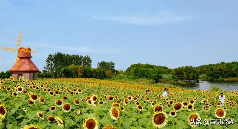 绍兴景区哪些景点免费自驾游,浙江省绍兴十大旅游景点