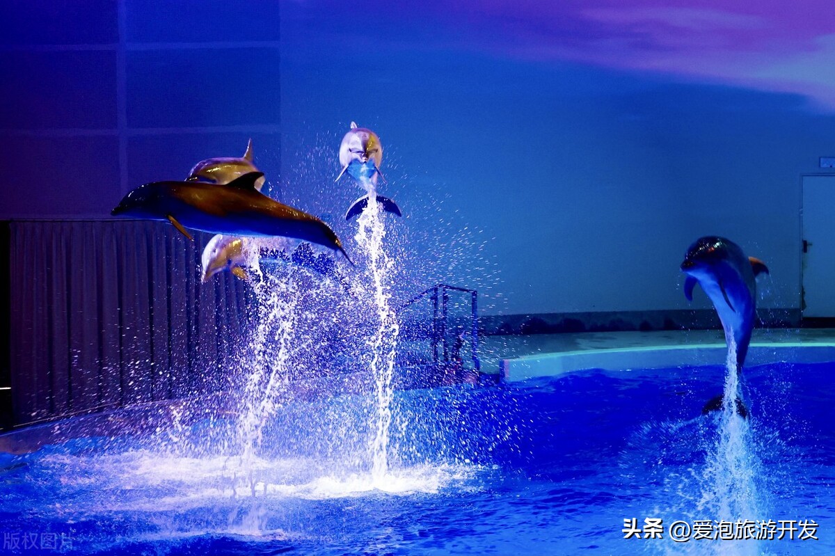 重庆旅游卡乐和乐都主题乐园,重庆旅游生活卡主题乐园