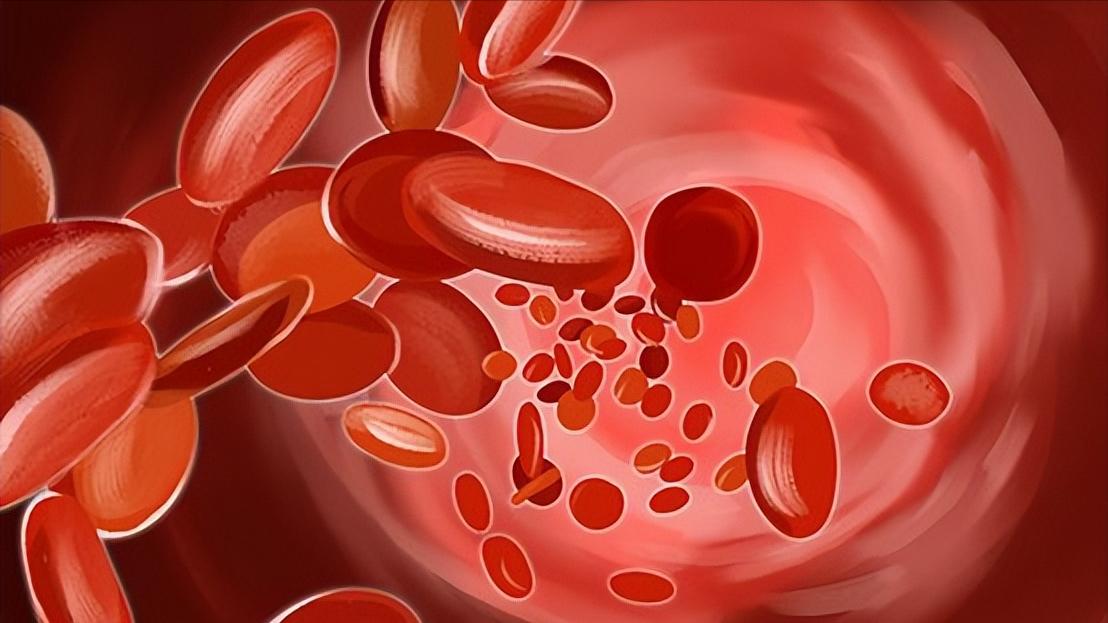 现在看病为什么动不动就要验血,医院里验血抽的血最后都去哪里了