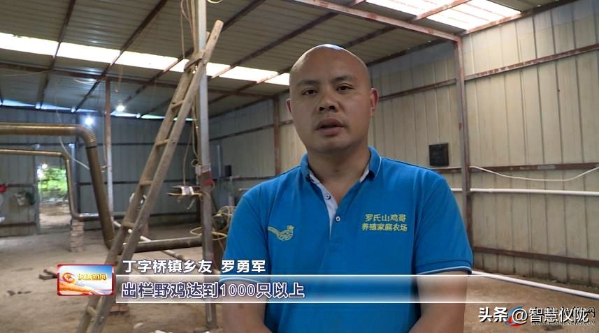 返乡创业成功人士的故事,返乡创业青年和他的创业故事