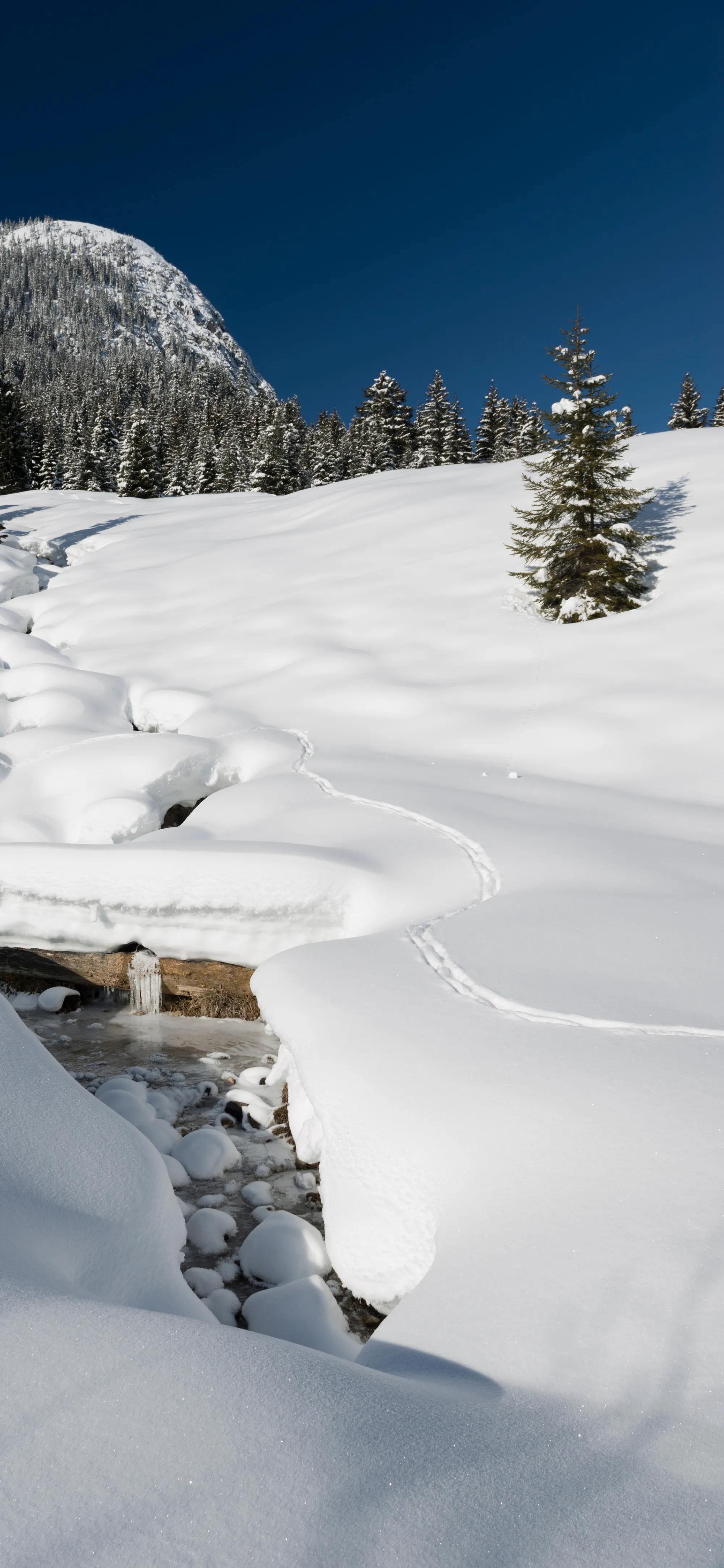 品读七首大雪诗词,大雪时节的唯美诗词