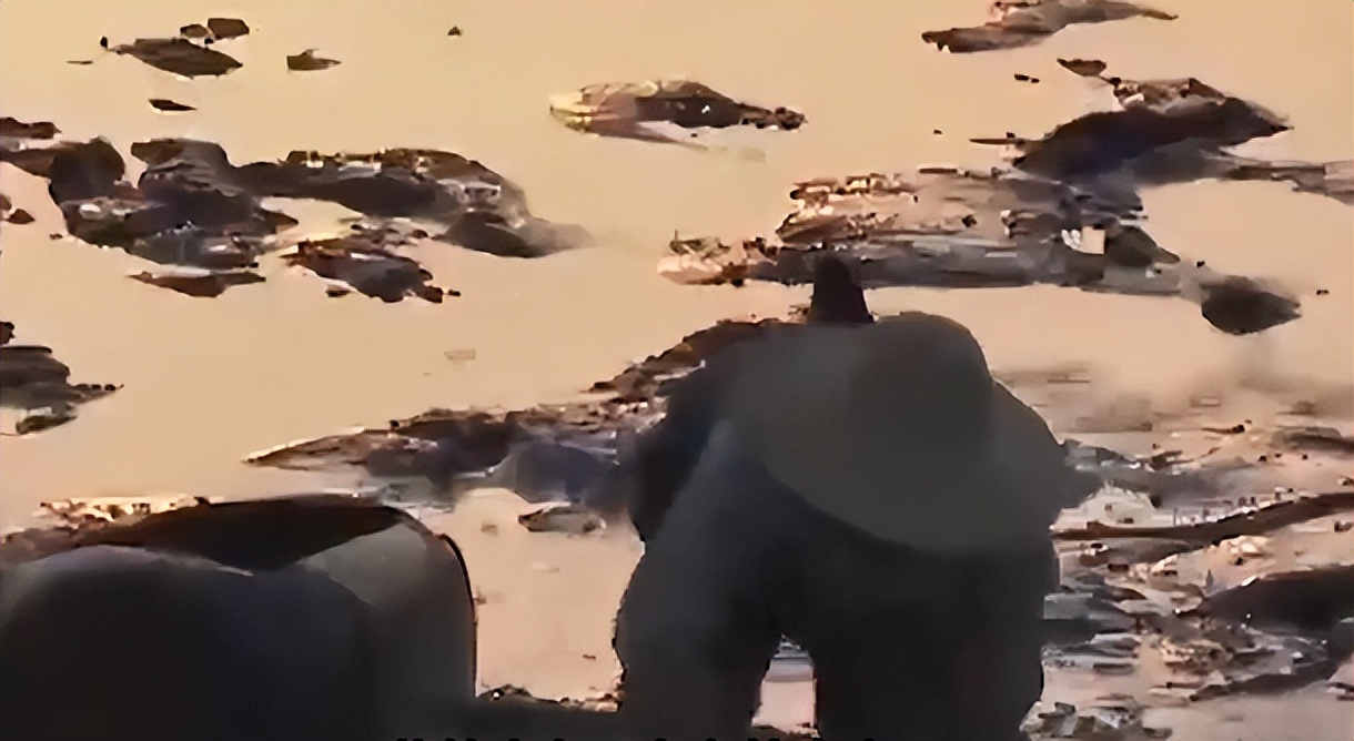 农村大叔用火养鱼年入千万,江西大叔深山养鱼一年收入几百万