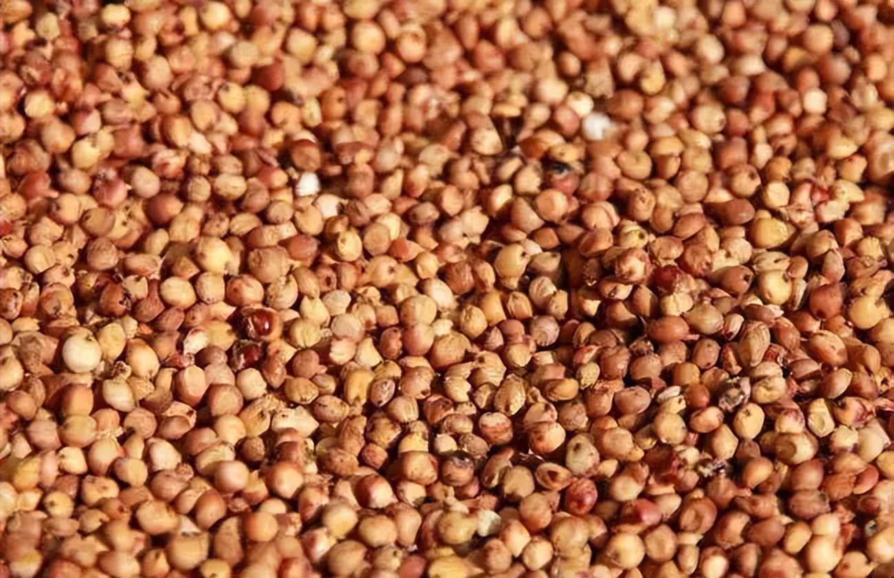 五谷杂粮食物图片大全大图,五谷杂粮图片大全大图真实