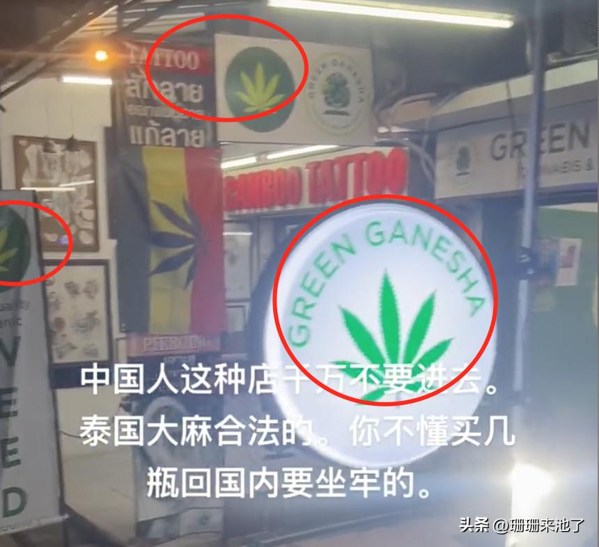 网红抹黑泰旅业？背后真实原因存疑官方将回应！网友：保命要紧！