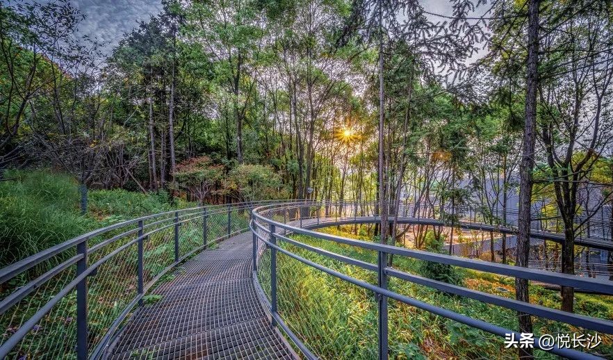 从『万科式』热销，看森林人居的高光热望！