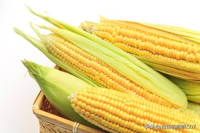 吉林省长春市公主岭市黑林子镇,吉林省长春市公主岭市育林乡